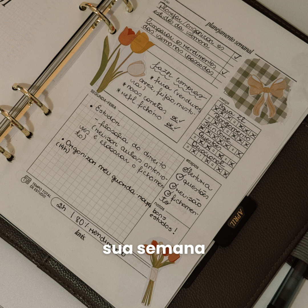 Planeje seus estudos, acompanhe prazos e mantenha o foco com o Planner Universitário - pensado especialmente para a rotina acadêmica (11)